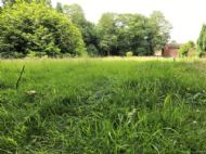 Click for all images